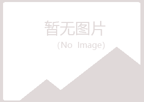 龙陵县曼山化学有限公司